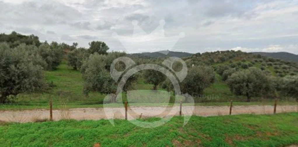 Terreno para Venda em Portel Foto 5