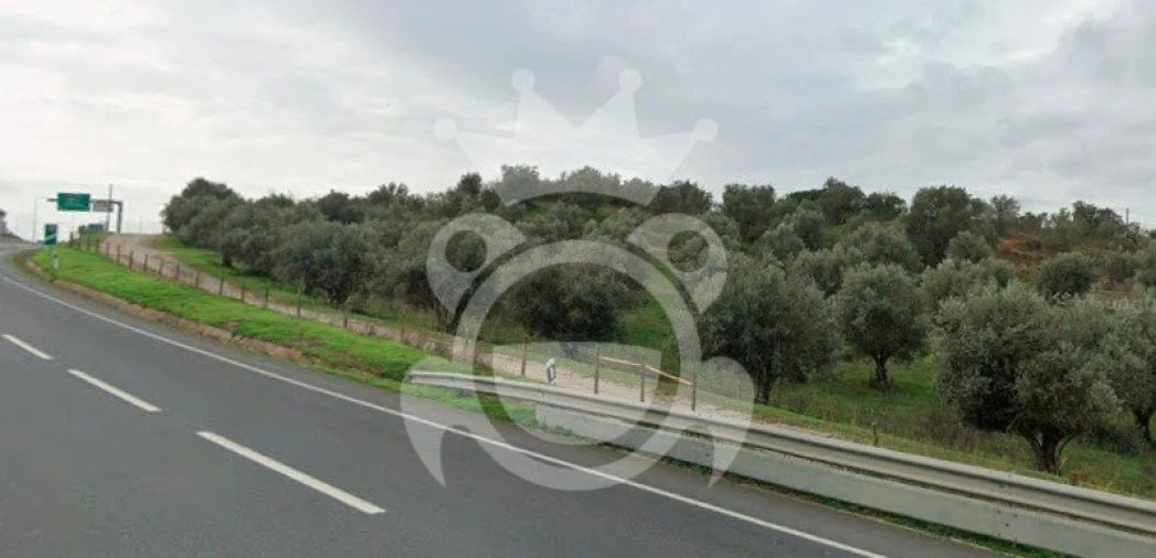 Terreno para Venda em Portel Foto 6