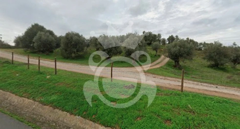 Terreno para Venda em Portel Foto 3