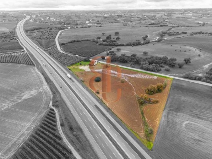 Terreno para Venda em Achete, Azoia de Baixo e Póvoa de Santarém Foto 11