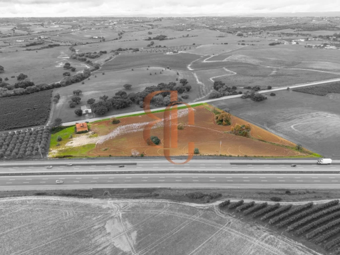 Terreno para Venda em Achete, Azoia de Baixo e Póvoa de Santarém Foto 9