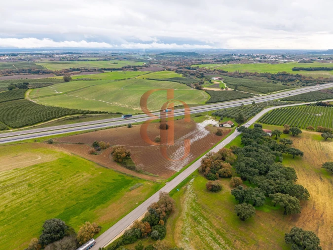 Terreno para Venda em Achete, Azoia de Baixo e Póvoa de Santarém Foto 18