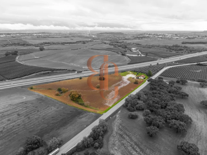 Terreno para Venda em Achete, Azoia de Baixo e Póvoa de Santarém Foto 17
