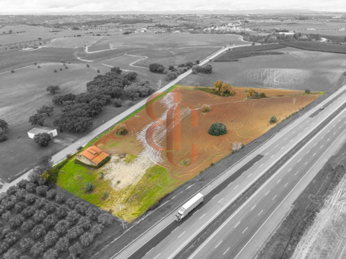 Terreno para Venda em Achete, Azoia de Baixo e Póvoa de Santarém Foto 6