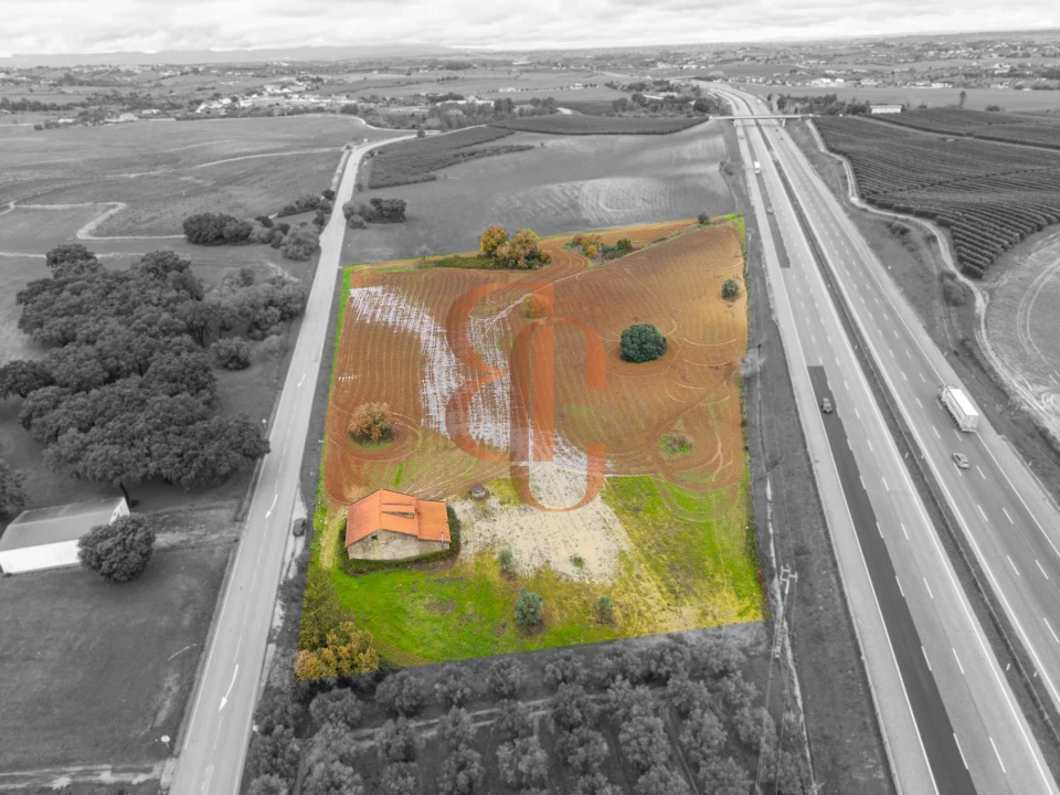 Terreno para Venda em Achete, Azoia de Baixo e Póvoa de Santarém Foto 4