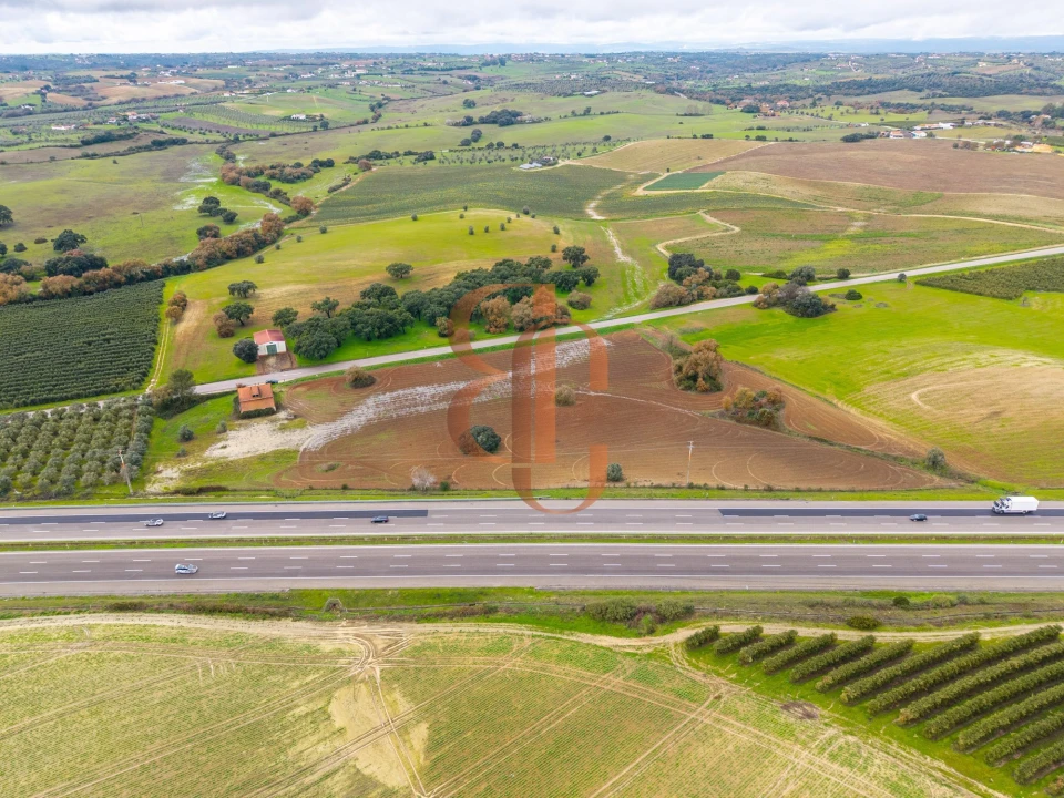 Terreno para Venda em Achete, Azoia de Baixo e Póvoa de Santarém Foto 10