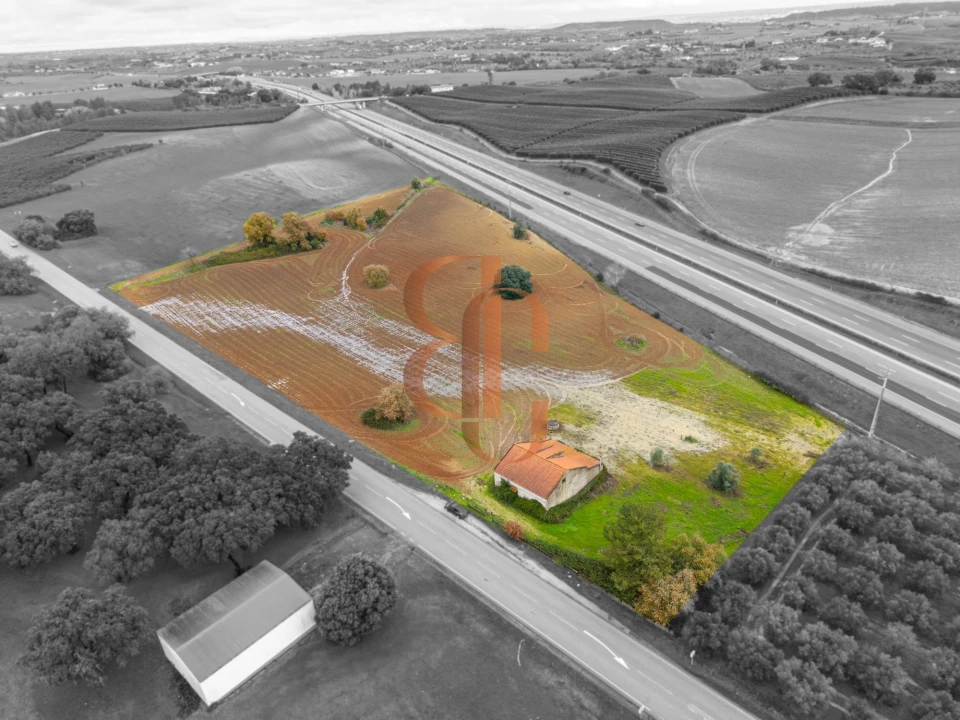 Terreno para Venda em Achete, Azoia de Baixo e Póvoa de Santarém Foto 2