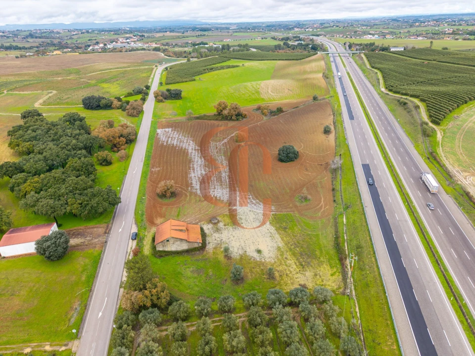 Terreno para Venda em Achete, Azoia de Baixo e Póvoa de Santarém Foto 5
