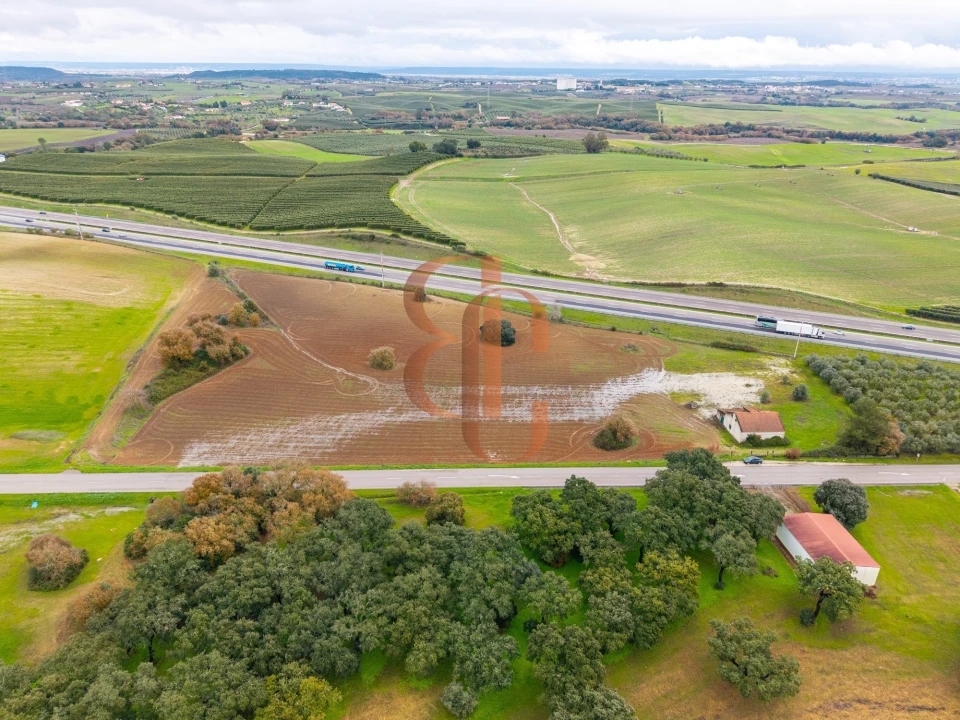 Terreno para Venda em Achete, Azoia de Baixo e Póvoa de Santarém Foto 19