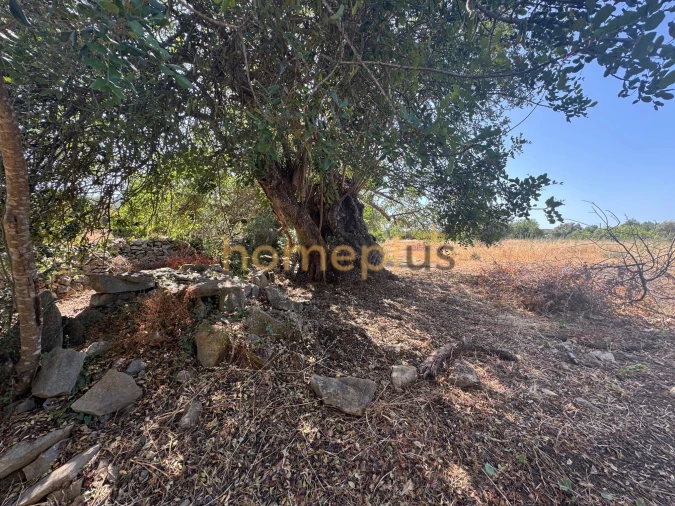 Quinta T3 para Venda em Moncarapacho e Fuseta Foto 14