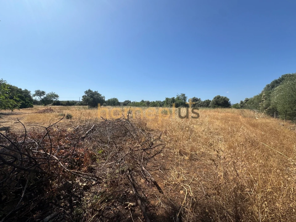 Quinta T3 para Venda em Moncarapacho e Fuseta Foto 16