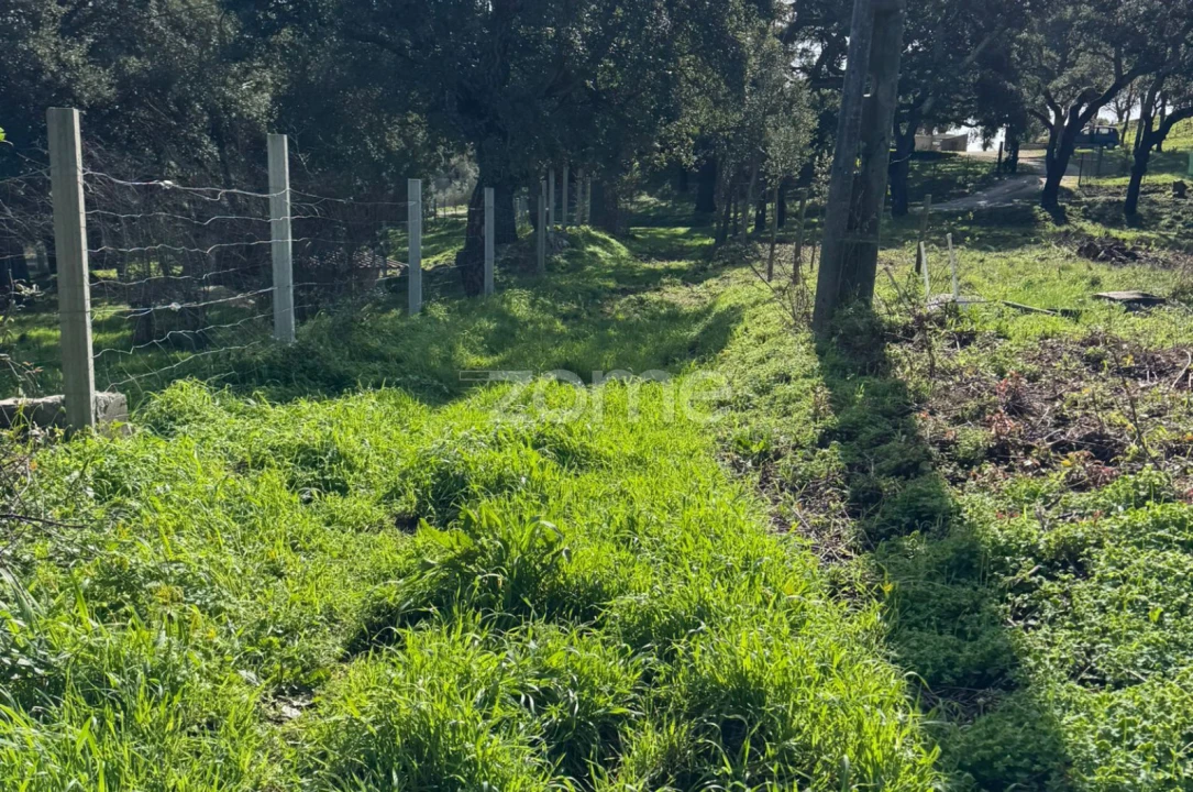 Terreno para Venda em Monchique Foto 6