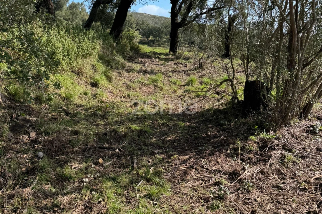 Terreno para Venda em Monchique Foto 4