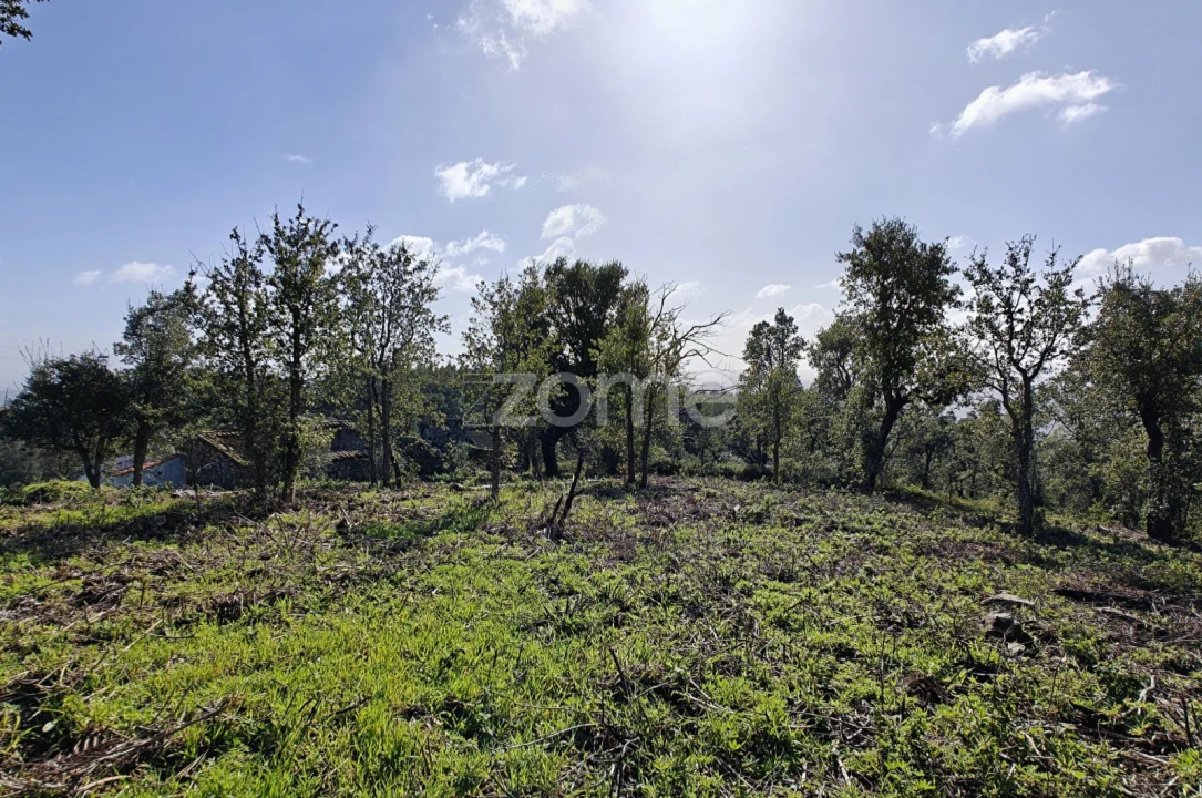 Terreno para Venda em Monchique Foto 12