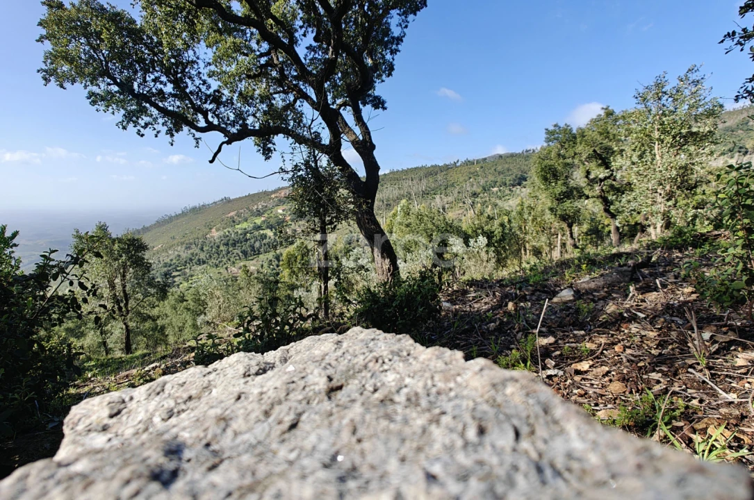 Terreno para Venda em Monchique Foto 13