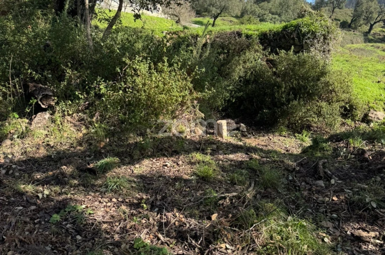 Terreno para Venda em Monchique Foto 1