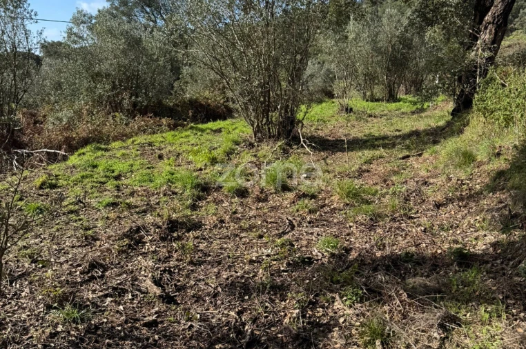 Terreno para Venda em Monchique Foto 3