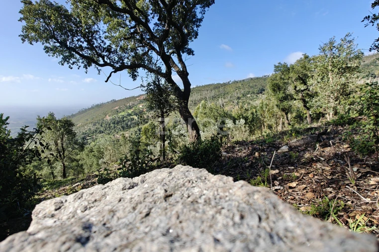 Terreno para Venda em Monchique Foto 13