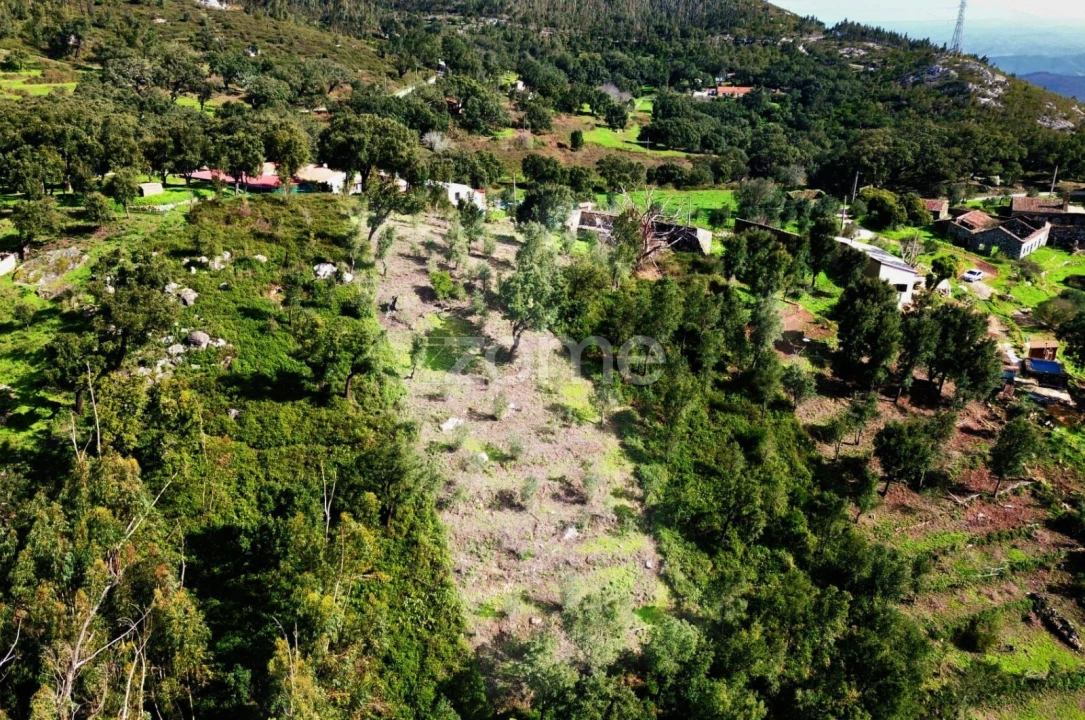 Moradia T1 para Venda em Monchique Foto 37