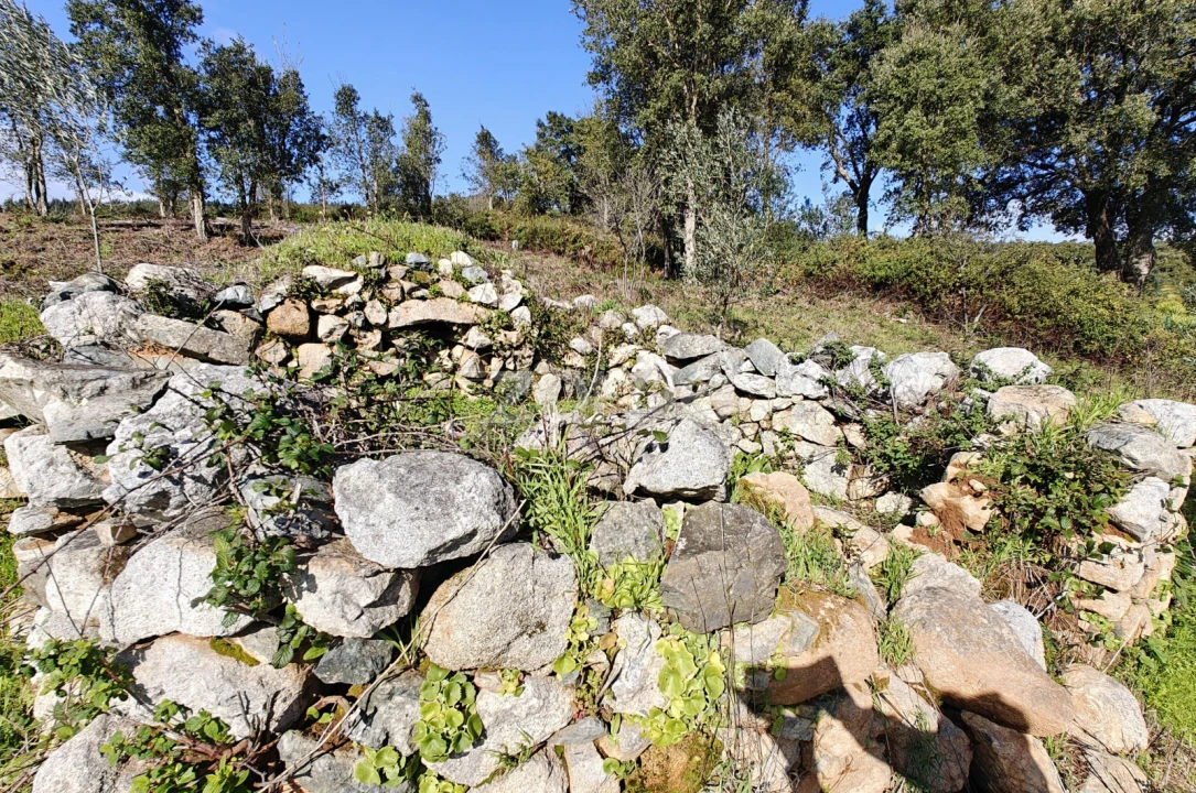 Moradia T1 para Venda em Monchique Foto 15