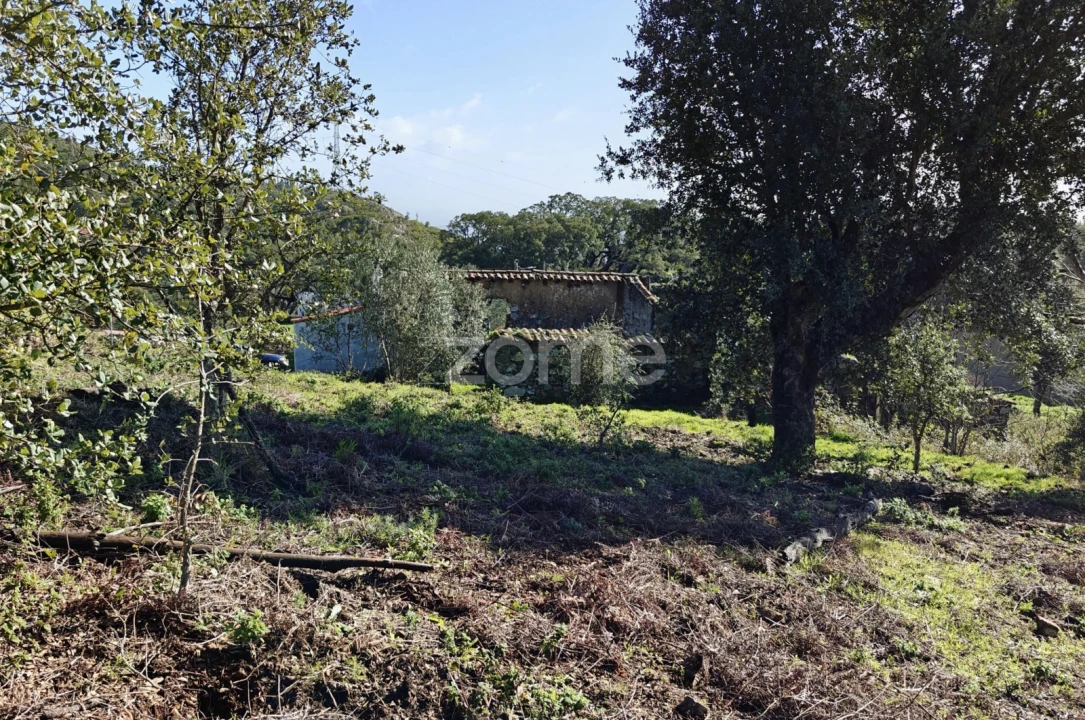 Moradia T1 para Venda em Monchique Foto 22