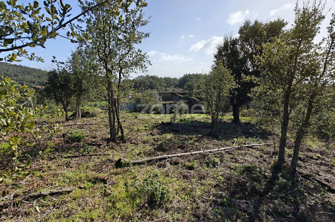 Moradia T1 para Venda em Monchique Foto 25