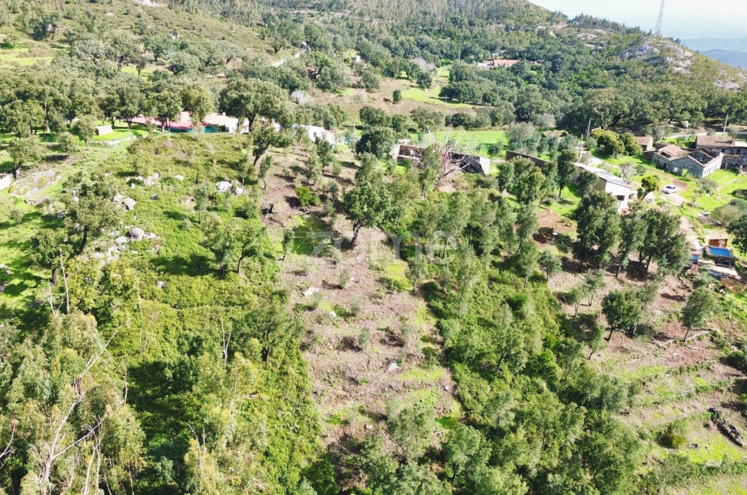 Moradia T1 para Venda em Monchique Foto 33