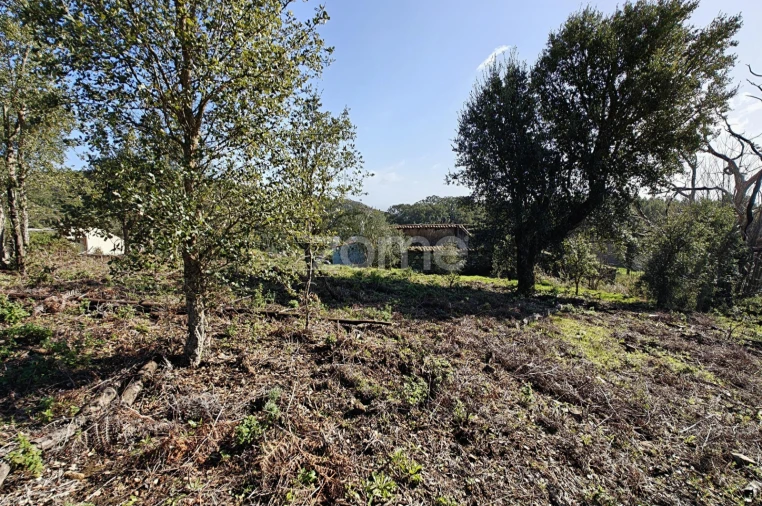 Moradia T1 para Venda em Monchique Foto 21