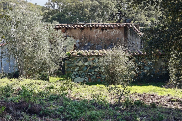 Moradia T1 para Venda em Monchique Foto 23