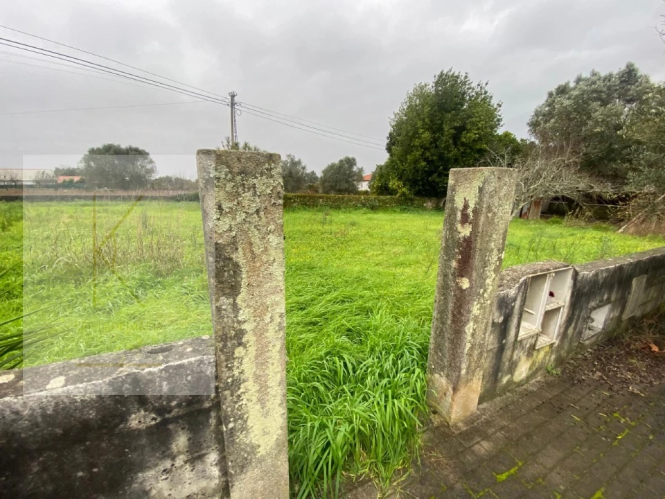 Terreno para Venda em Vitorino das Donas Foto 2