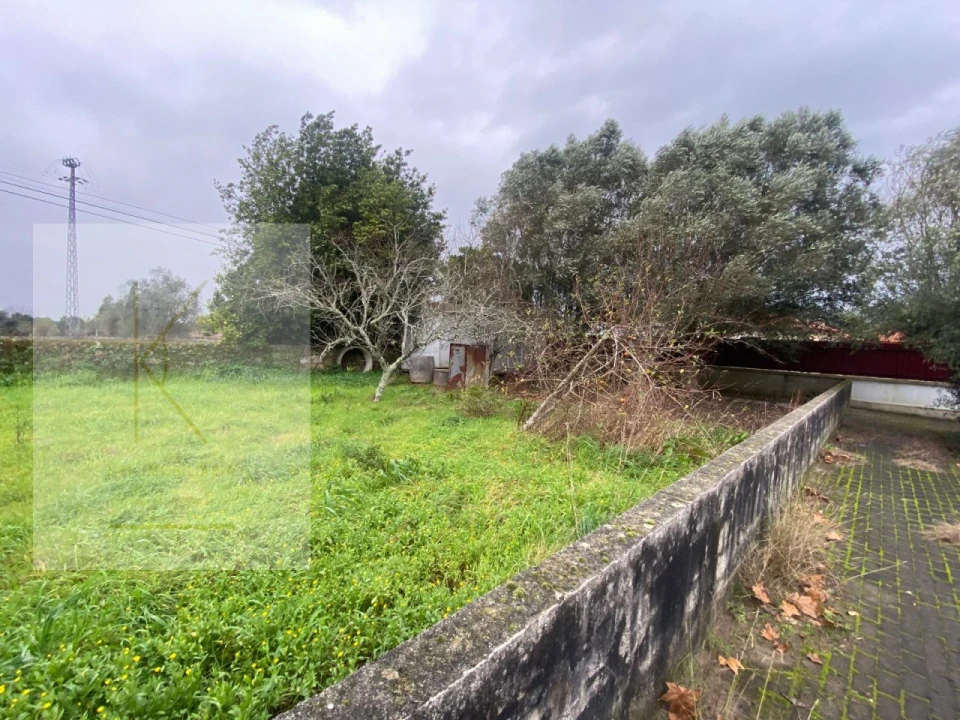 Terreno para Venda em Vitorino das Donas Foto 5