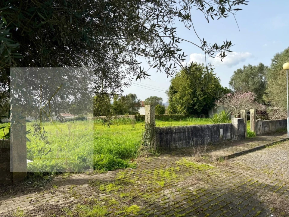 Terreno para Venda em Vitorino das Donas Foto 4