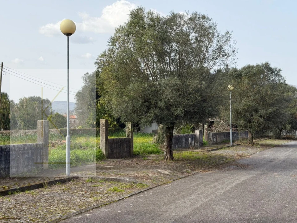 Terreno para Venda em Vitorino das Donas Foto 10