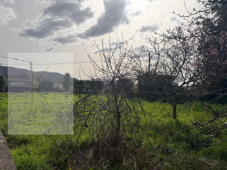 Terreno para Venda em Vitorino das Donas Foto 13