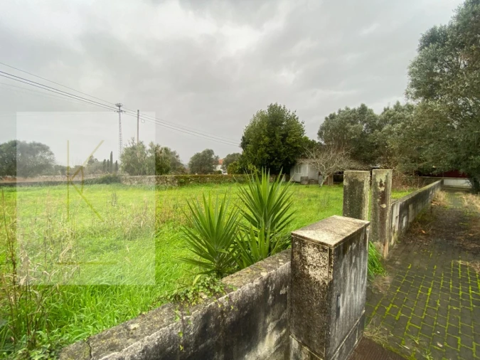 Terreno para Venda em Vitorino das Donas Foto 4
