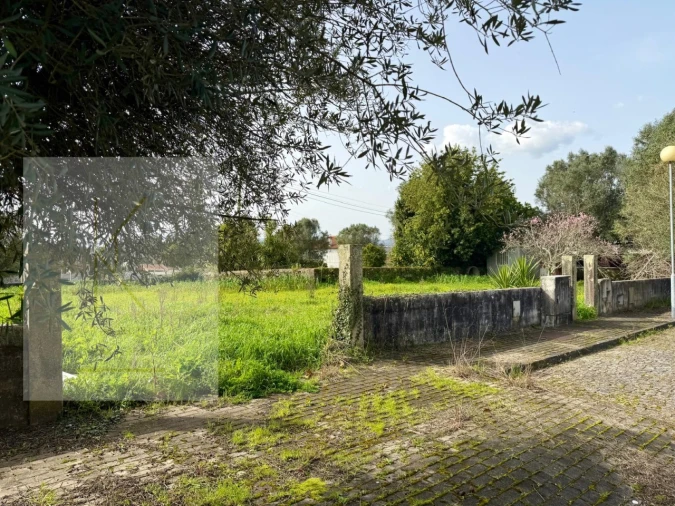 Terreno para Venda em Vitorino das Donas Foto 4