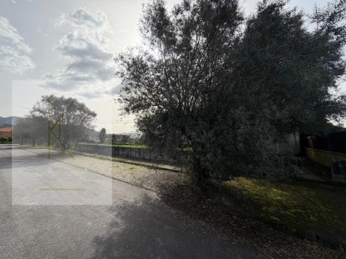 Terreno para Venda em Vitorino das Donas Foto 12