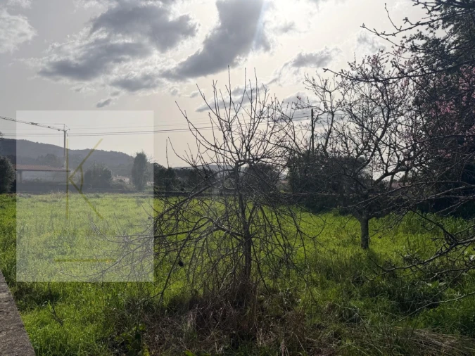 Terreno para Venda em Vitorino das Donas Foto 13