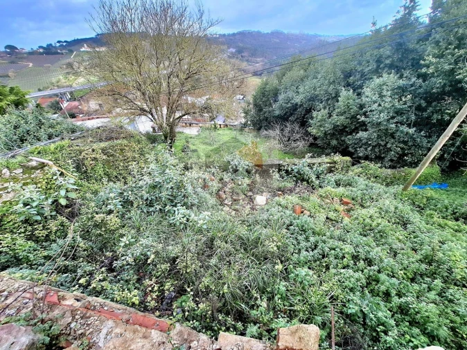 Terreno para Venda em Nossa Senhora do Pópulo, Coto e São Gregório Foto 11