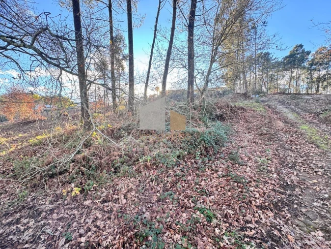 Terreno para Venda em Campos e Vila Meã Foto 4