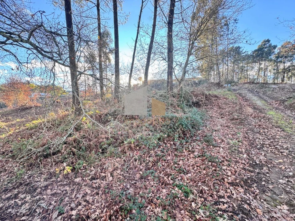Terreno para Venda em Campos e Vila Meã Foto 4