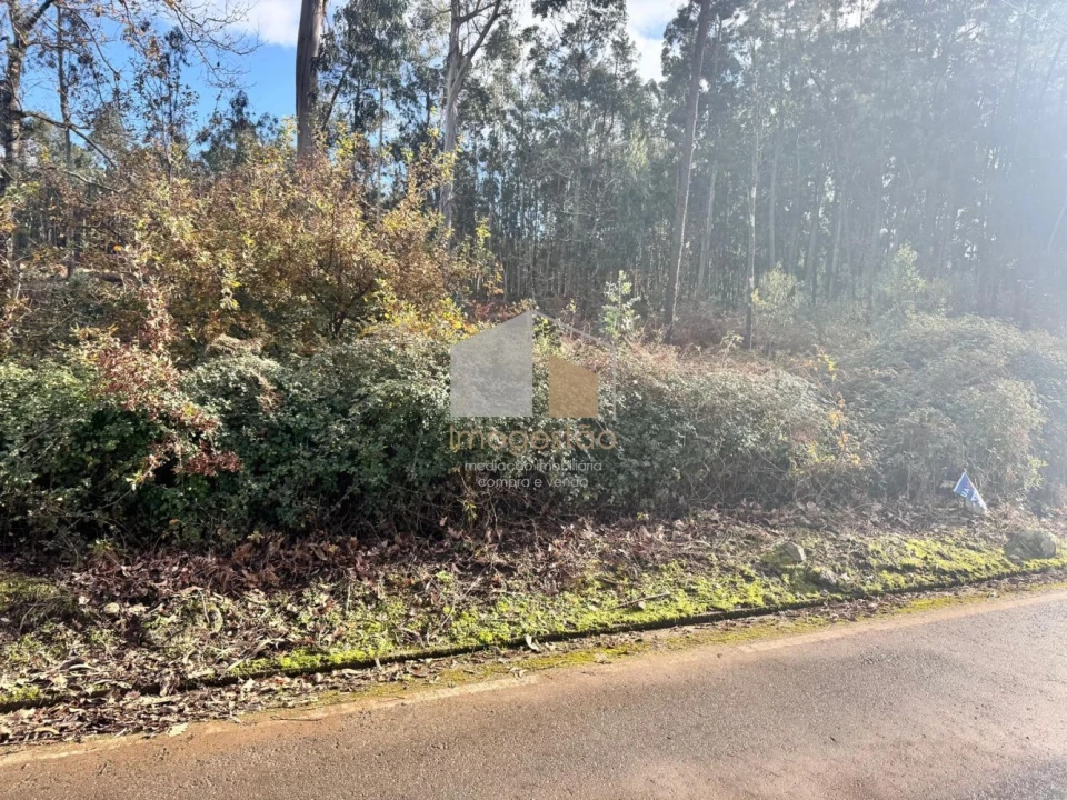 Terreno para Venda em Campos e Vila Meã Foto 4