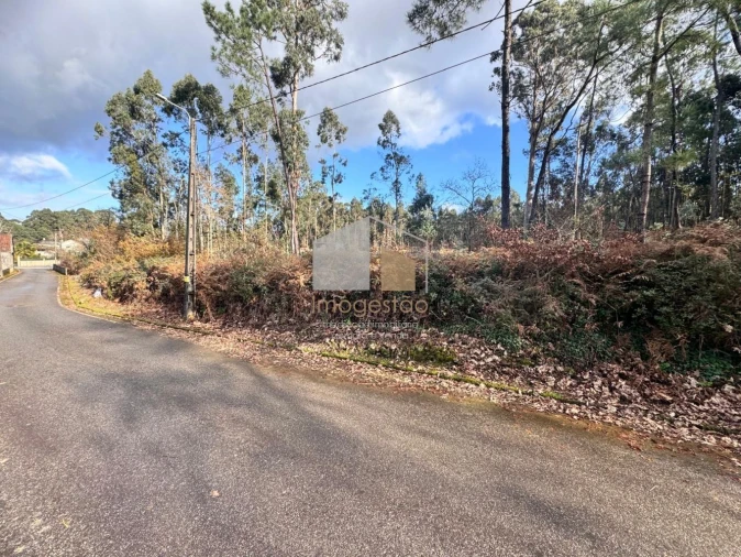 Terreno para Venda em Campos e Vila Meã