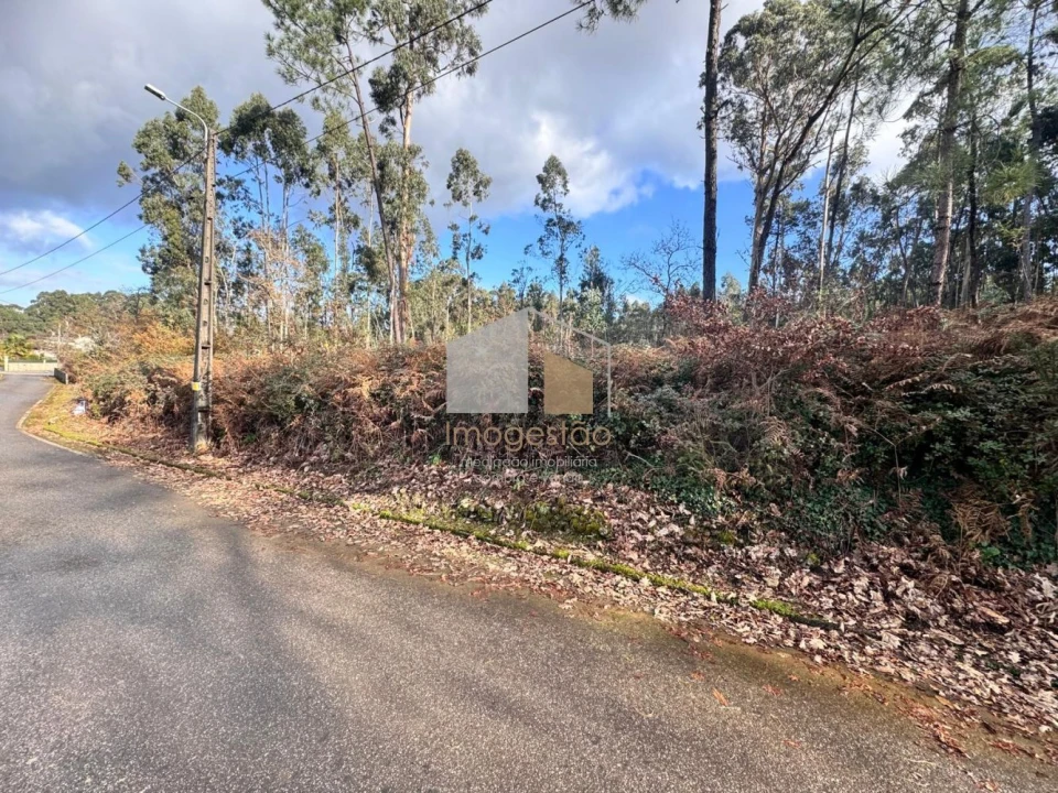 Terreno para Venda em Campos e Vila Meã Foto 3