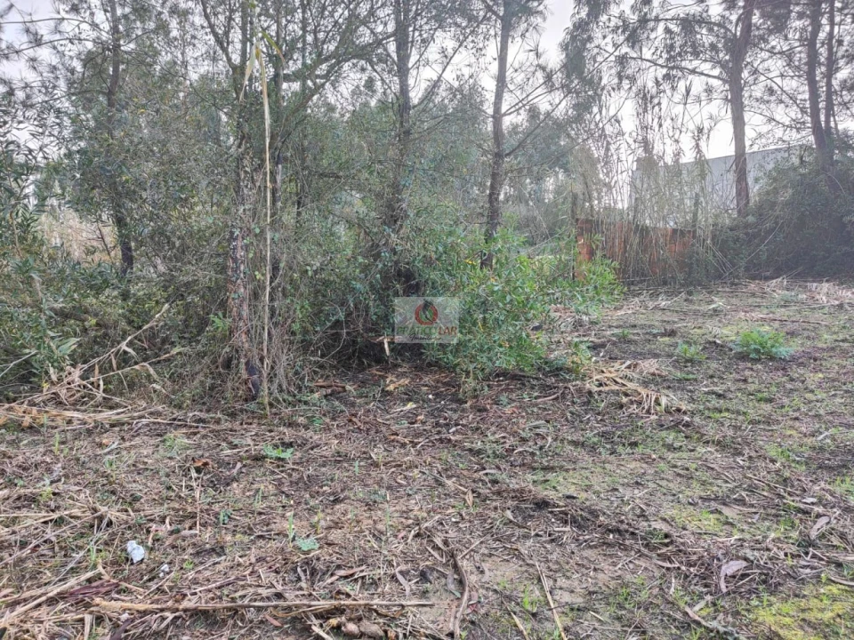 Terreno para Venda em Oiã Foto 8