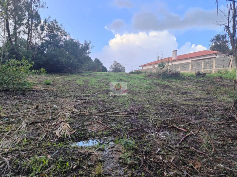 Terreno para Venda em Oiã Foto 11