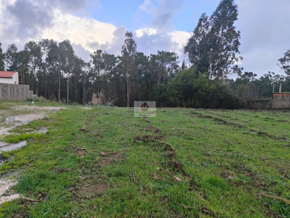 Terreno para Venda em Oiã Foto 12
