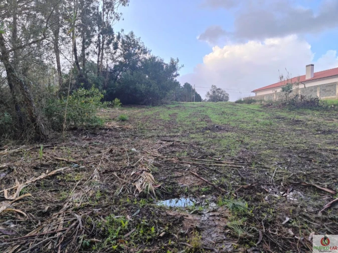 Terreno para Venda em Oiã Foto 5
