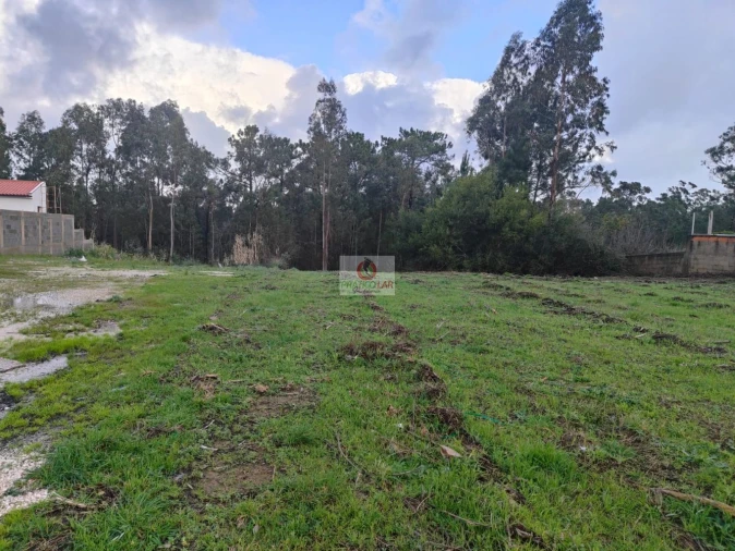 Terreno para Venda em Oiã Foto 12