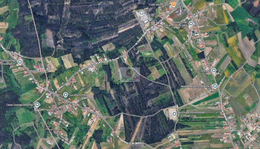 Terreno para Venda em Oiã Foto 2